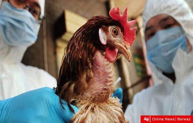 الولايات المتحدة