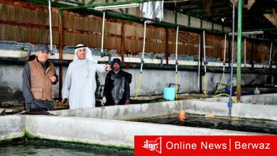 الإنتاج السمكي