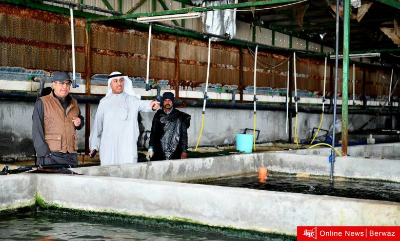 الإنتاج السمكي