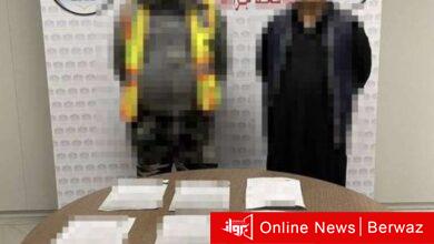 التقارير الطبية