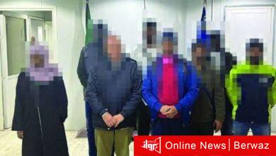 جليب الشيوخ