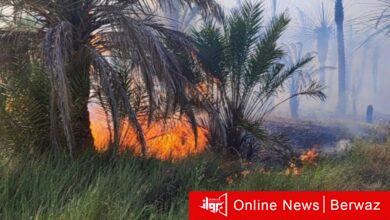 مستشفى الطب الطبيعي