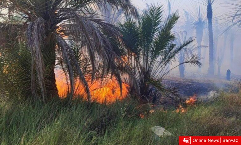 مستشفى الطب الطبيعي