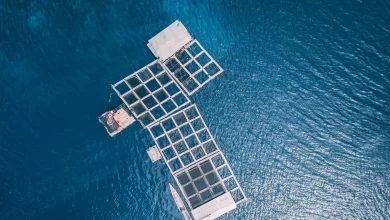 البحر المتوسط