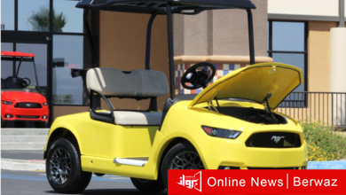 جامعة الكويت