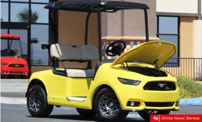 جامعة الكويت