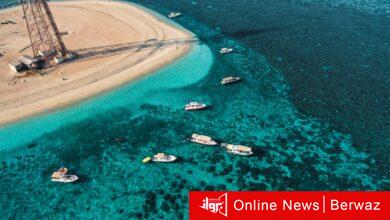 هيئة البيئة