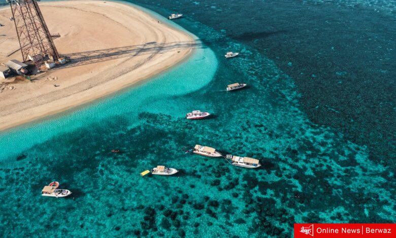 هيئة البيئة