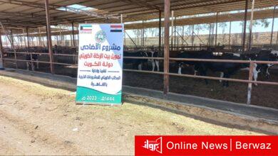 المكتب الكويتي للمشروعات الخيرية في القاهرة