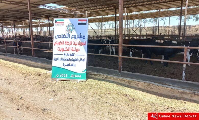 المكتب الكويتي للمشروعات الخيرية في القاهرة