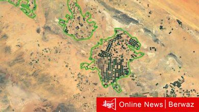 سور الكويت الأخضر