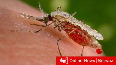 الصحة المصرية