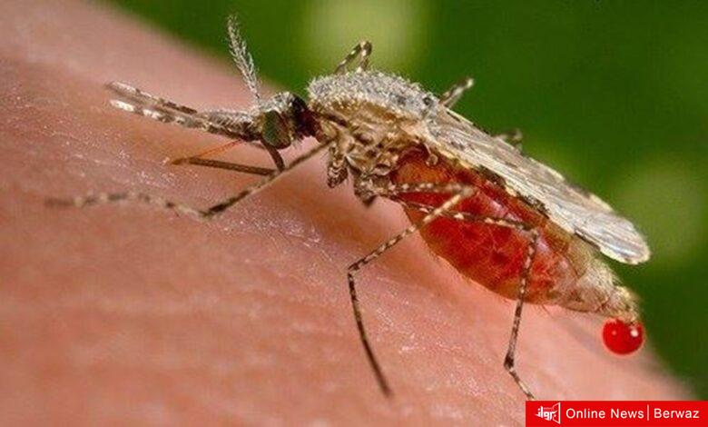 الصحة المصرية