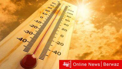 دراسة جديدة