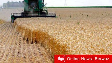 وزير التجارة