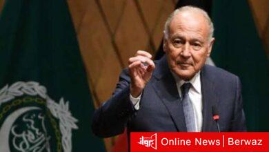 جامعة الدول العربية