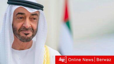 محمد بن زايد