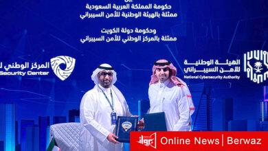 الأمن السيبراني