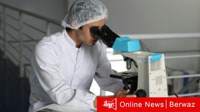 كوليسترول الضار