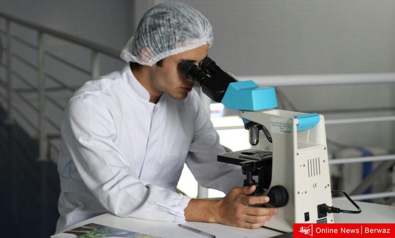 كوليسترول الضار