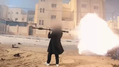 المقاتل الأنيق