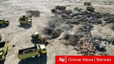 بلدية الكويت