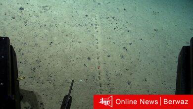 دراسة جديدة