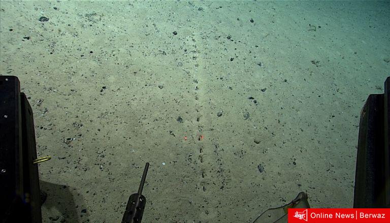 دراسة جديدة