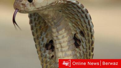 امرأة هندية