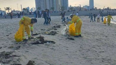 بلدية الكويت