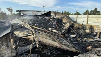 بر الصليبية