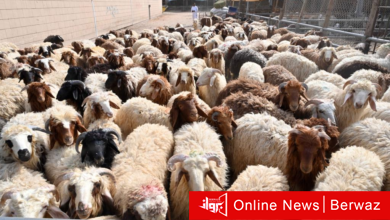 وزارة التجارة