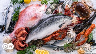 مأكولات بحرية