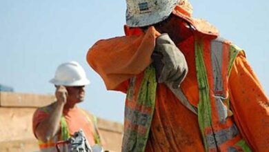 منظمة العمل الدولية