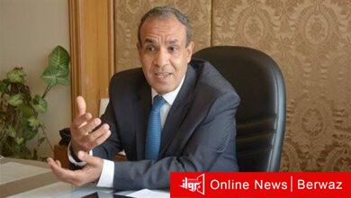 وزير الخارجية المصري