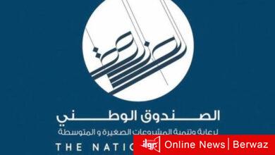 صندوق المشروعات