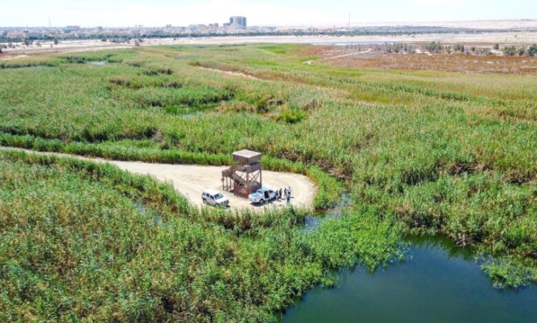 الداخلية: إجراءات صارمة ضد الصيد أو التجول داخل المحميات الطبيعية