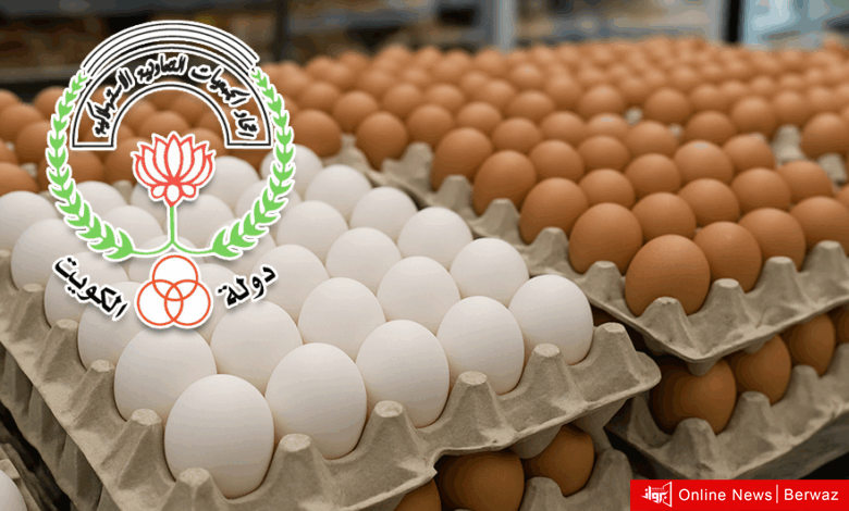 «اتحاد الجمعيات» يعلن عن حلول عاجلة لأزمة نقص البيض في التعاونيات